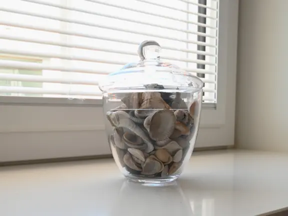 Vakantie appartement cadzand dunes et mer slaapkamer schelpen