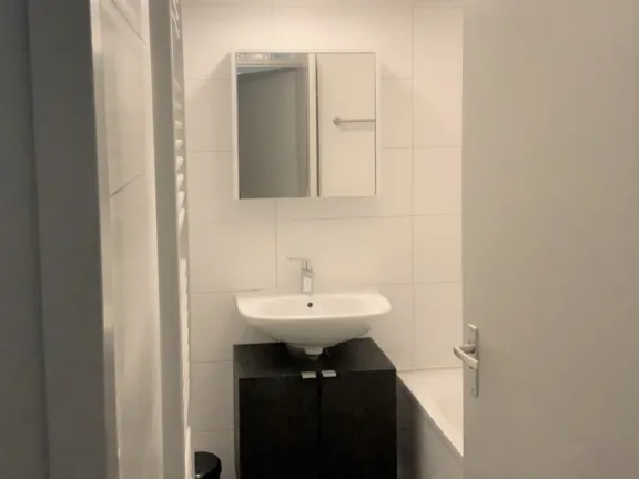 Vakantiehuis esdoornstraat 22 cadzand wastafel