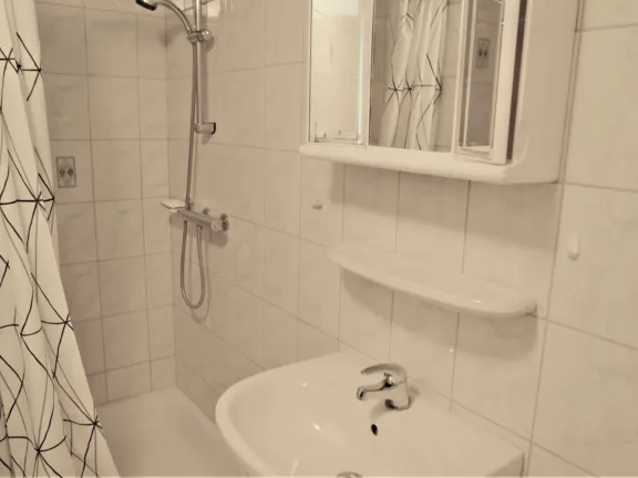 4 vuudoornstraat 2 badkamer