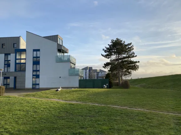 De Lopinge 94 Cadzand boom