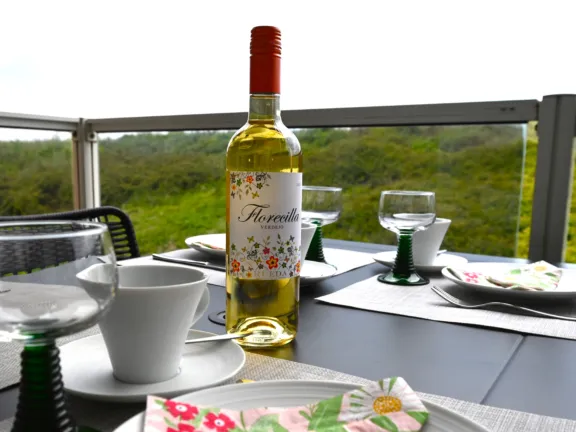 Vakantie appartement deurloo cadzand 55 10 balkon wijn