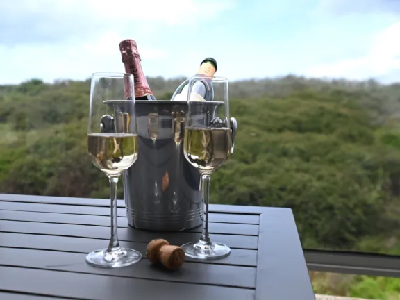 Deurloo 55 10 Cadzand champagne