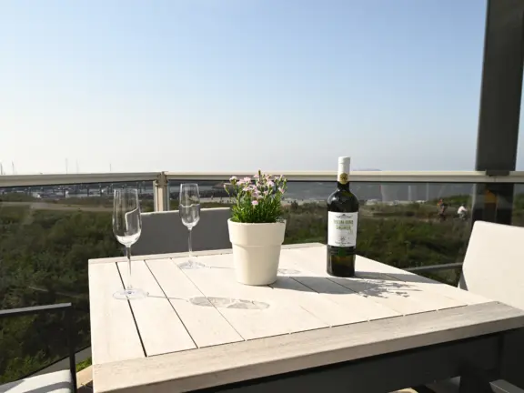 Appartement boulevard de wielen 55 18 cadzand balkon wijn