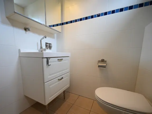 Vakantiehuis cadzand sincfal 13 badkamer wastafel