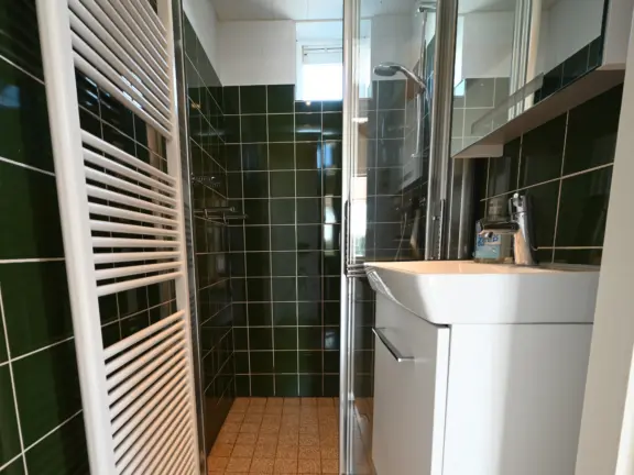 Vakantiehuis sincfal 36 badkamer