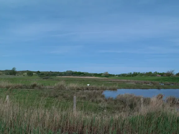 Vakantiehuis spaanse galeien 19 cadzand het zwin