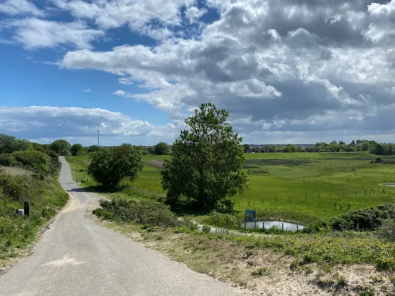 Zomerdorp zwin weg naar strand 3