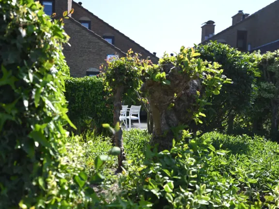 Spaanse galeien 66 vakantiehuisje cadzand doorkijkje voortuin