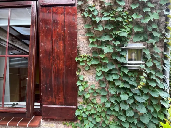 Spaanse galeien 9 cadzand tuin luik