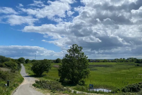 Zomerdorp zwin weg naar strand 4