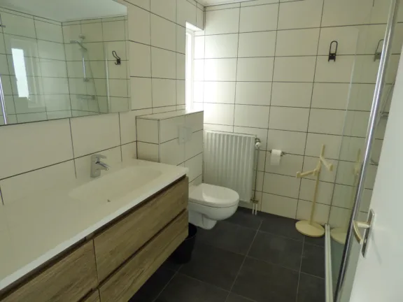 Vakantie bungalow boothuys grote christoffelstraat 11 cadzand badkamer wastafel