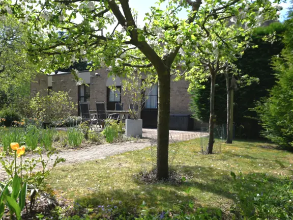 Ferien bungalow joannas hof grote christoffelstraat 15 cadzand baum
