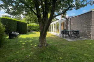 Bungalow sunrise grote christoffelstraat 30 cadzand tuin achter boom