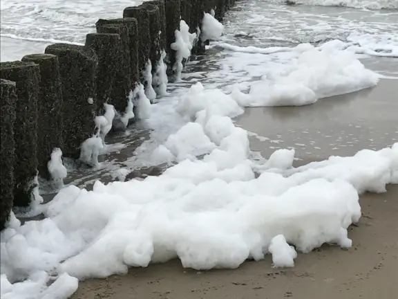 Vakantiehuis Matabiche kaapvaartstraat 7 cadzand strand paalhoofd
