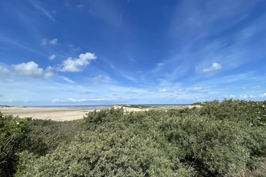 Wandelen in cadzand