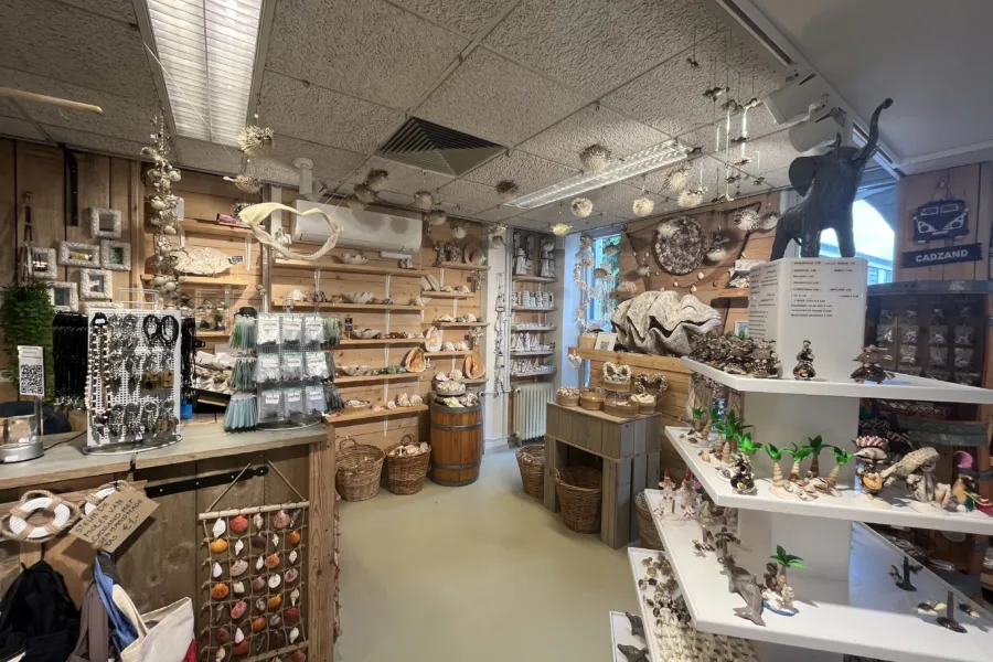GIFTSHOP CADZAND SCHELPENWINKEL