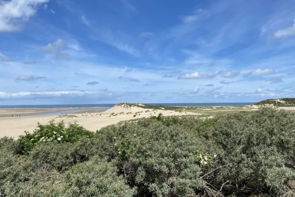 Cadzand bad natuurgebied het zwin strand 18