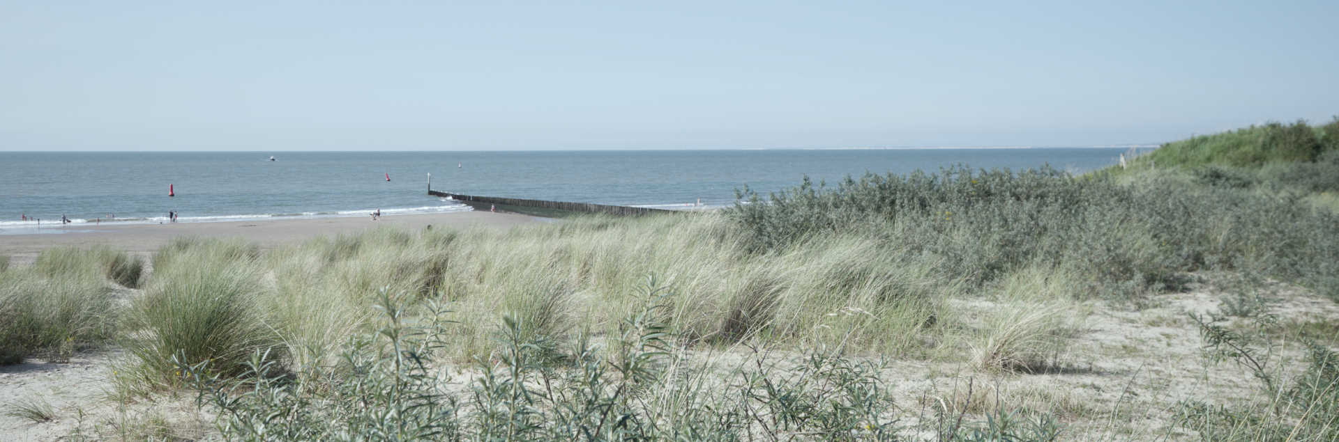 Website header duinen