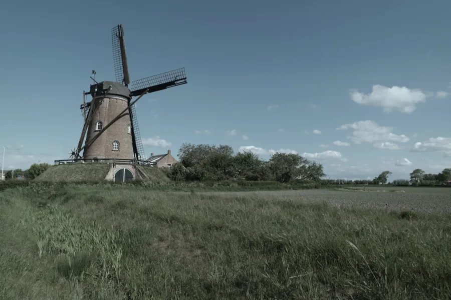 Molen cadzand groen