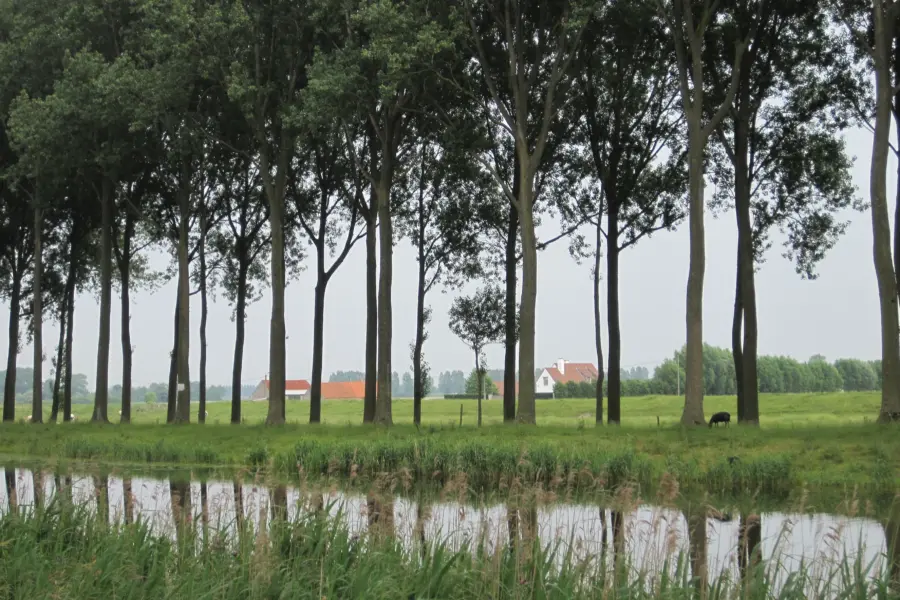 Damse vaart