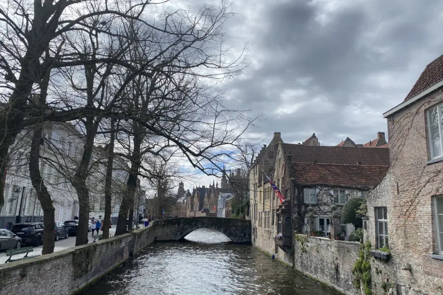 Brugge gracht boom herfst