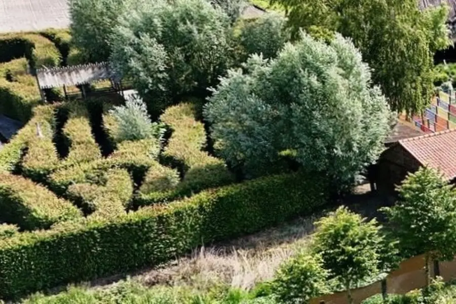 Doolhof
