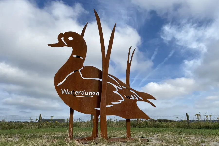Waterdunen eend cortenstaal