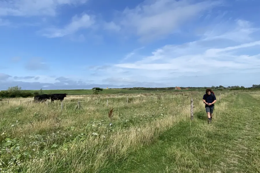 Waterdunen wandelen vergezicht