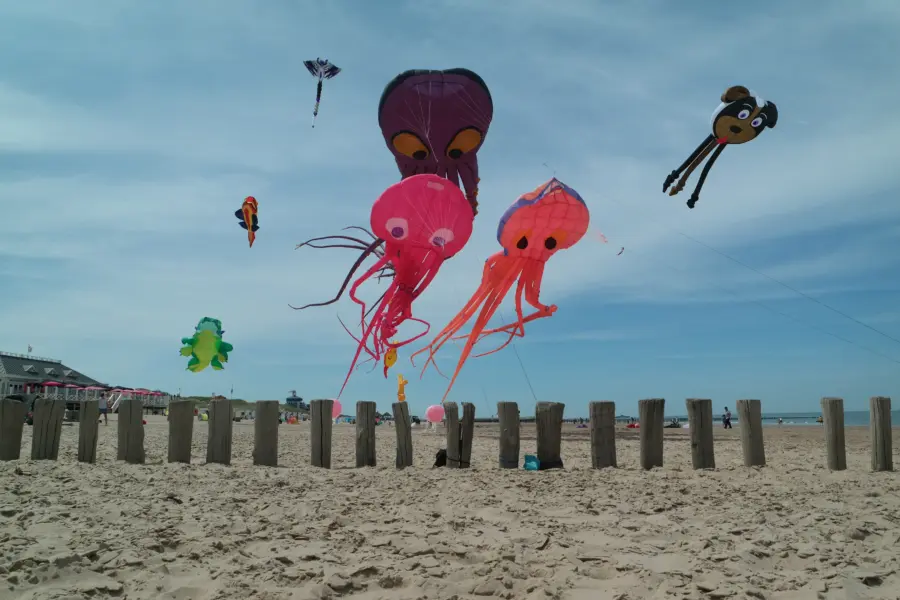 Cadzand bad strand vliegers
