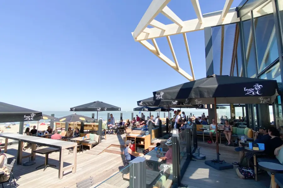 Terras lente