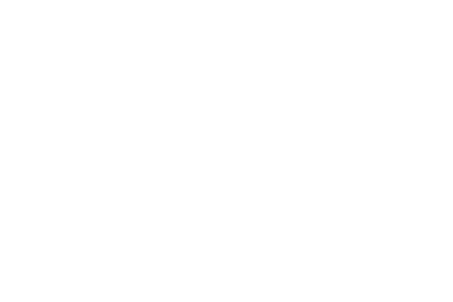Vijf sterren villa mer cadzand