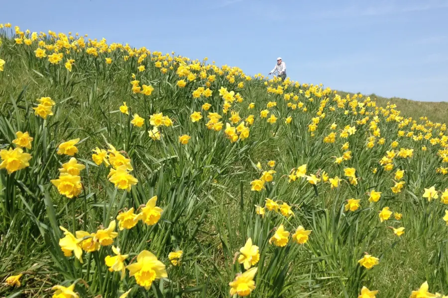 Lente in Cadzand