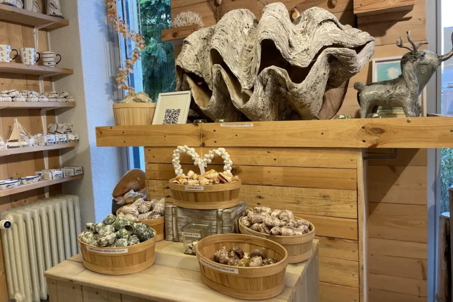 Giftshop cadzand
