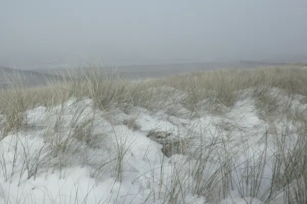 Winter duinen sneeuw cover