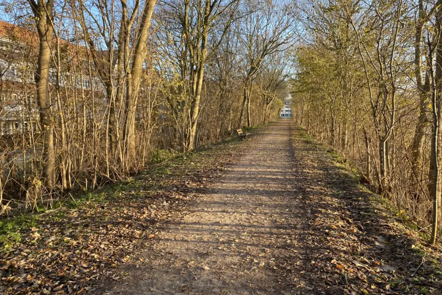 herfst_cadzand_dijk