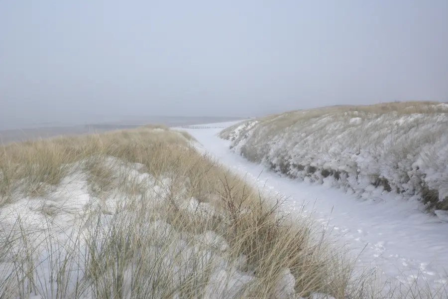 Winter in cadzand