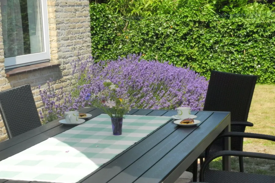 Ferienhaus le bonheur 18 07 cadzand garten